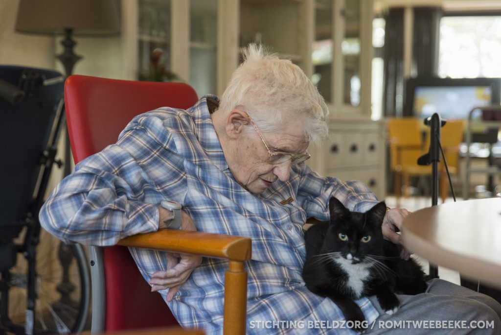 Foto Bos en Meerzicht